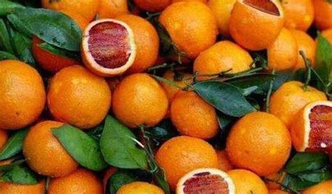 高橙的功效与作用及禁忌